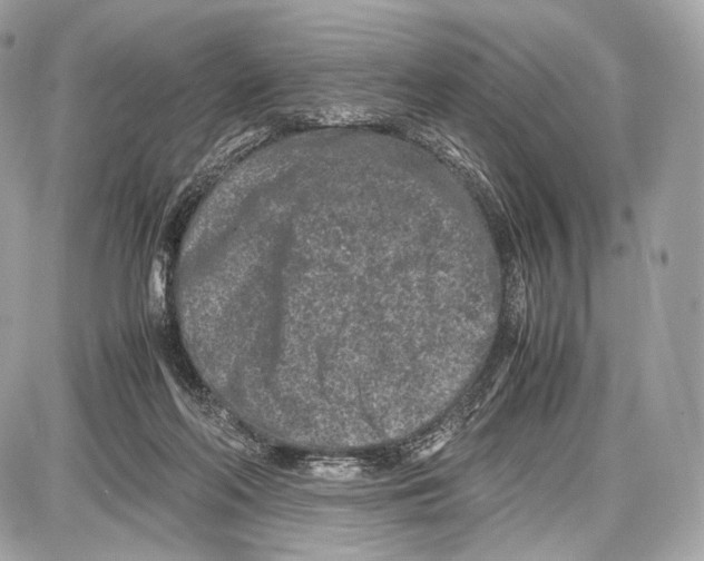 X0000086960214200705141634