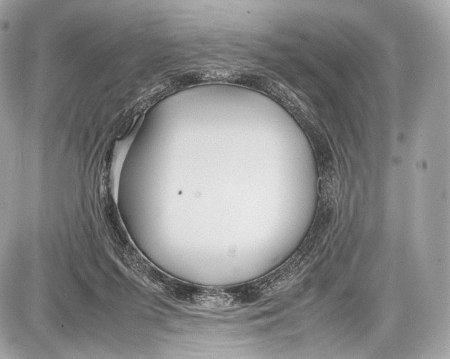 X0000086960215200705141634