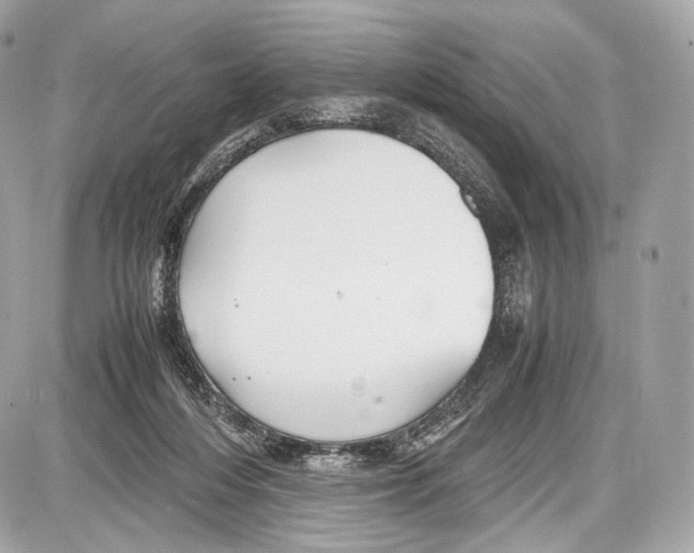 X0000086960216200705141634