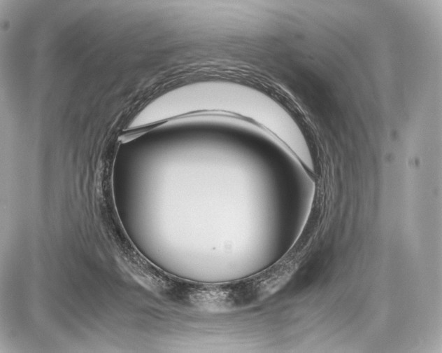 X0000086960217200705141634