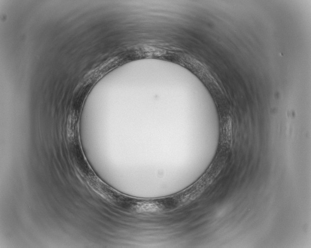 X0000086960218200705141634