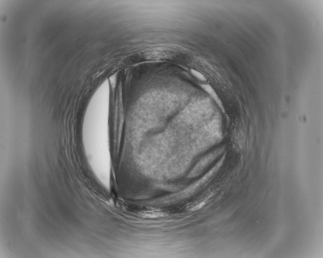 X0000086960219200705141634