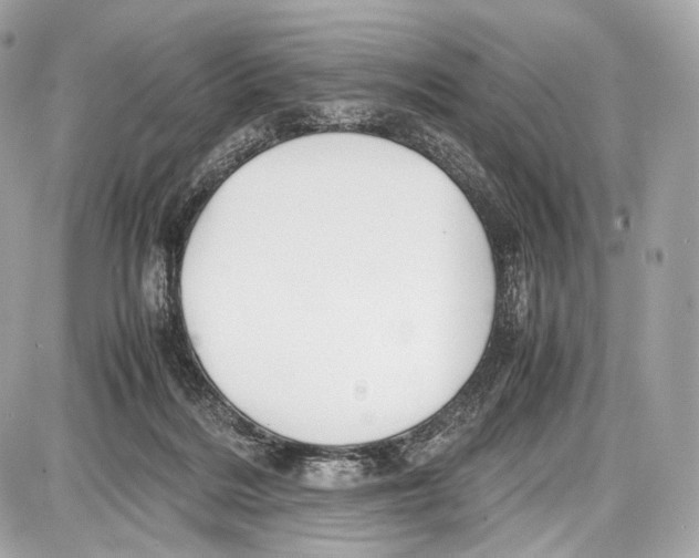 X0000086960220200705141634