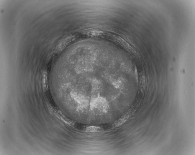 X0000086960222200705141634