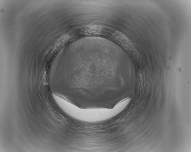 X0000086960224200705141634