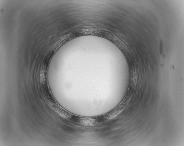 X0000086960226200705141634