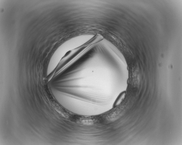 X0000086960228200705141634