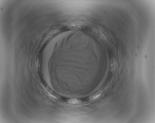 X0000086960231200705141634