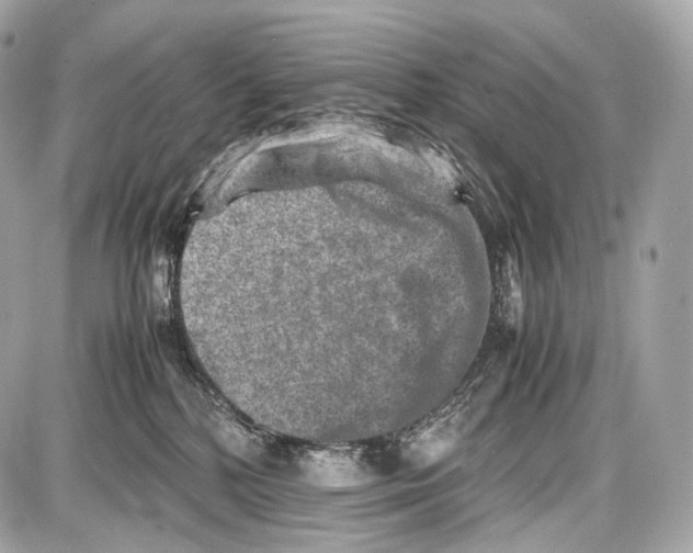 X0000086960232200705141634