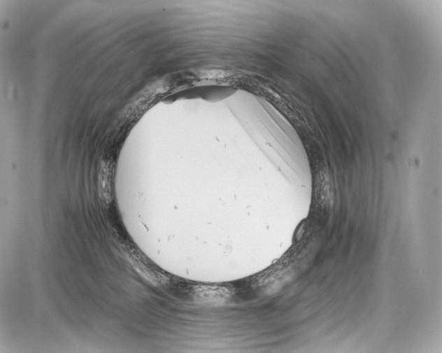 X0000086960234200705141634