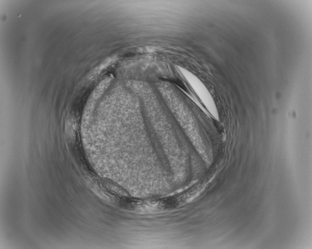 X0000086960235200705141634