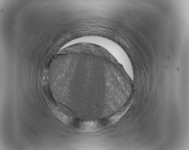 X0000086960237200705141634