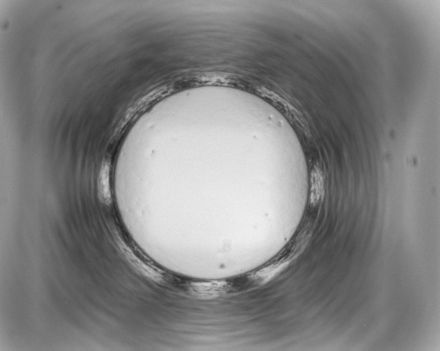 X0000086960238200705141633