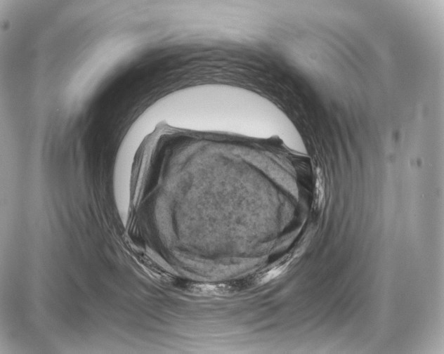 X0000086960239200705141633