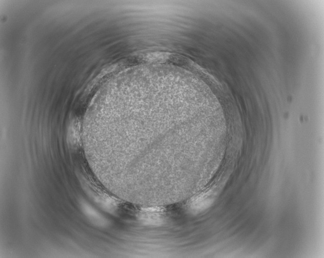 X0000086960240200705141633