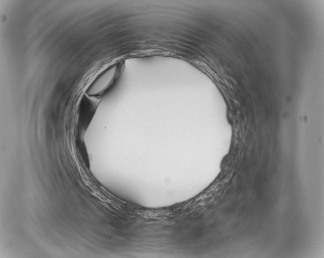 X0000086960241200705141633