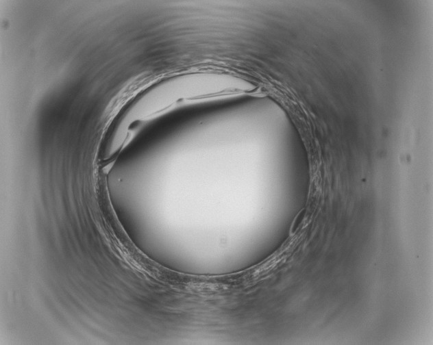 X0000086960242200705141633