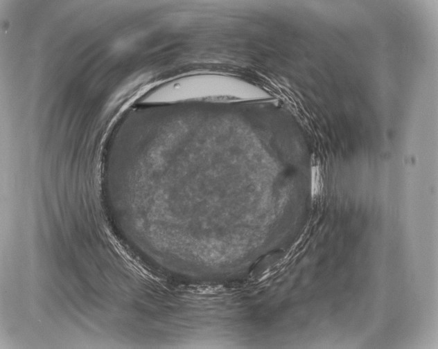 X0000086960243200705141633