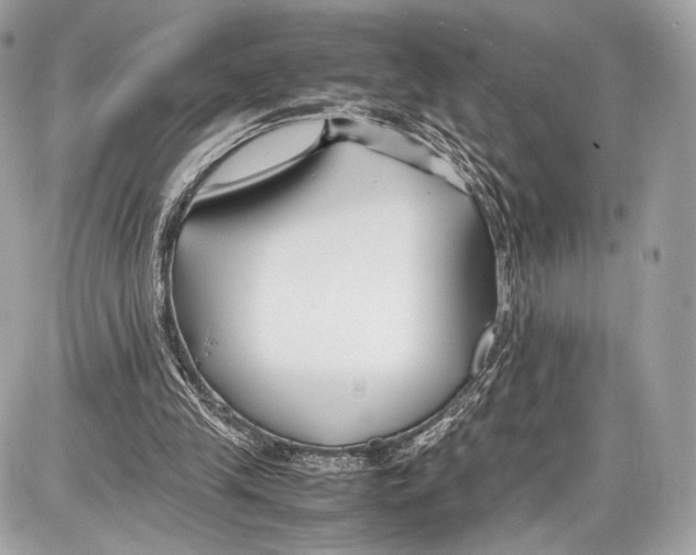 X0000086960245200705141633