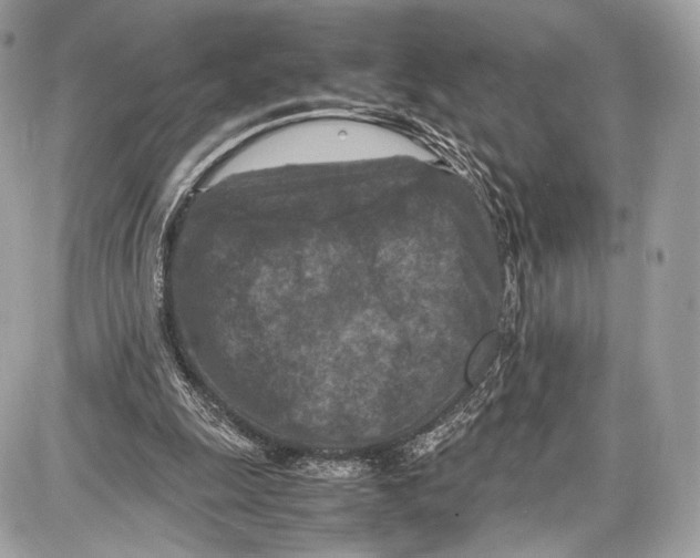 X0000086960247200705141633