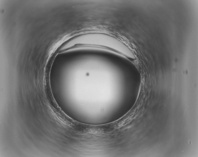 X0000086960248200705141633