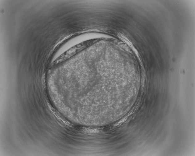 X0000086960249200705141633