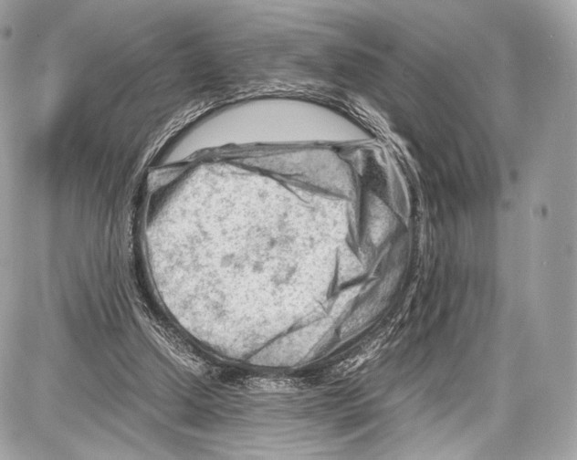 X0000086960250200705141633