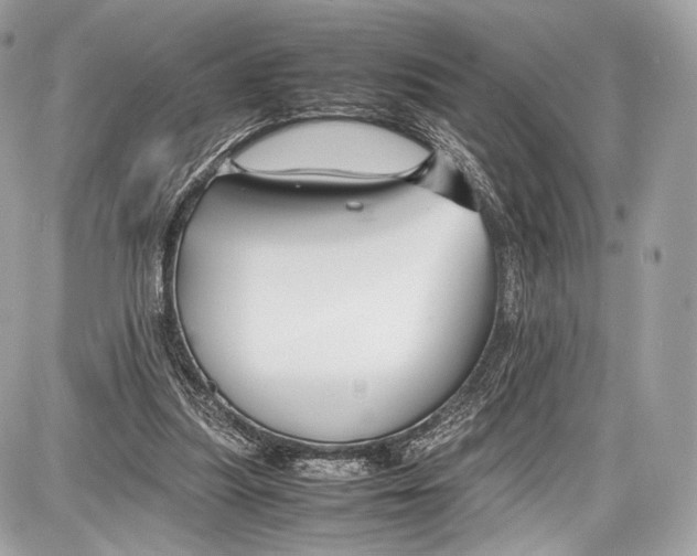 X0000086960251200705141633