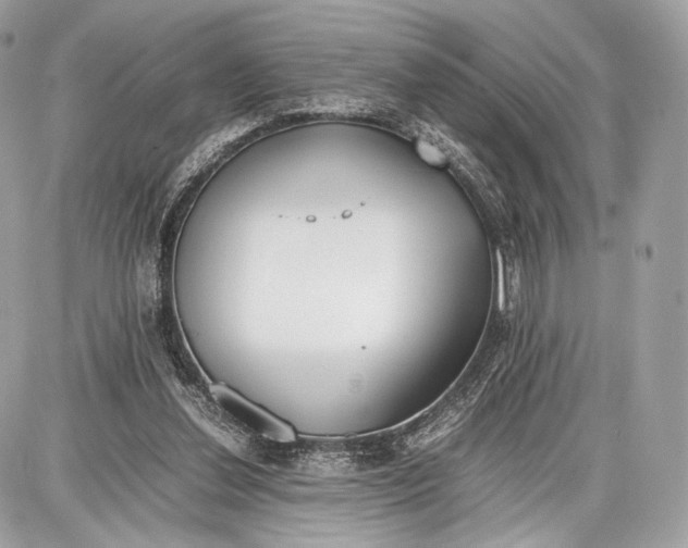 X0000086960252200705141633