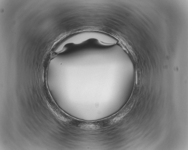 X0000086960253200705141633