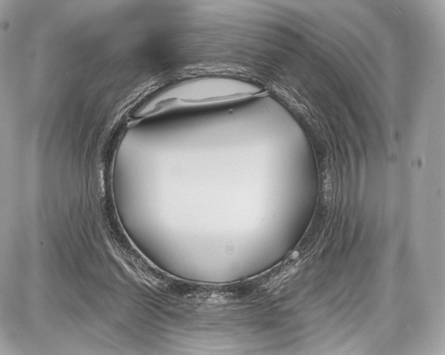 X0000086960254200705141633