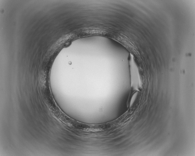 X0000086960255200705141633