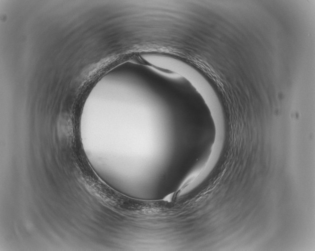 X0000086960256200705141633