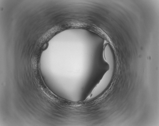 X0000086960257200705141633