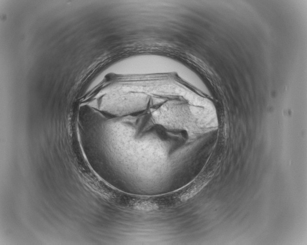 X0000086960258200705141633