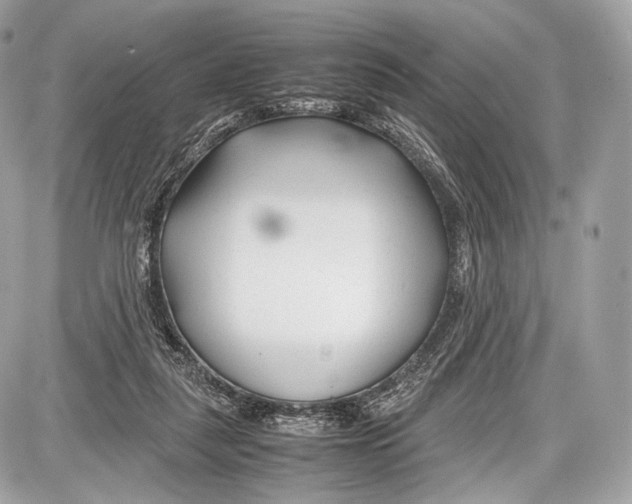 X0000086960259200705141633