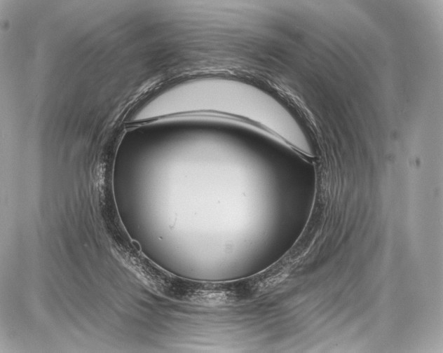 X0000086960260200705141633