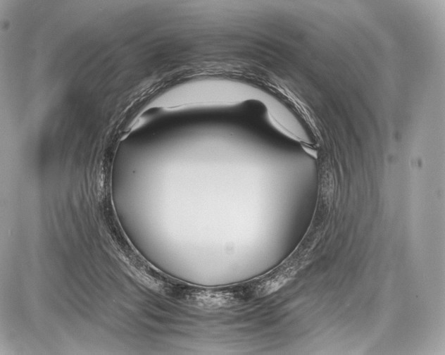 X0000086960261200705141633