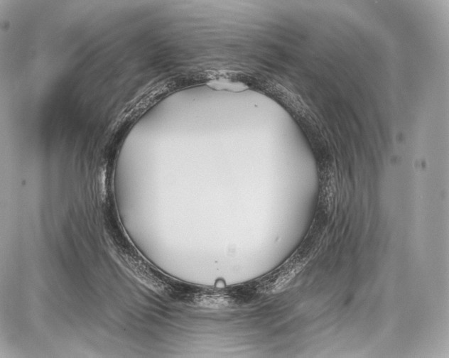 X0000086960262200705141633