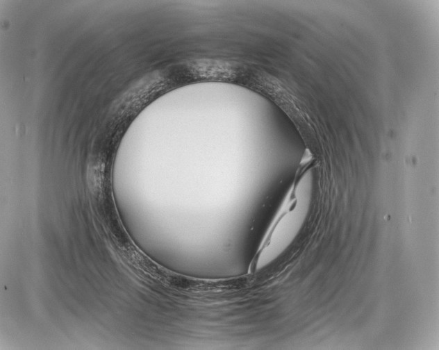 X0000086960263200705141633