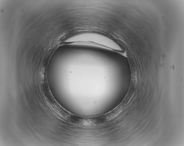 X0000086960264200705141633