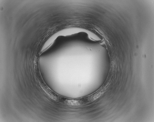 X0000086960265200705141633