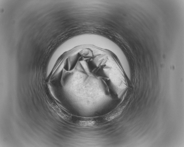 X0000086960266200705141633