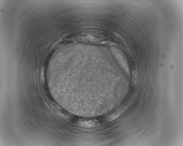 X0000086960267200705141633