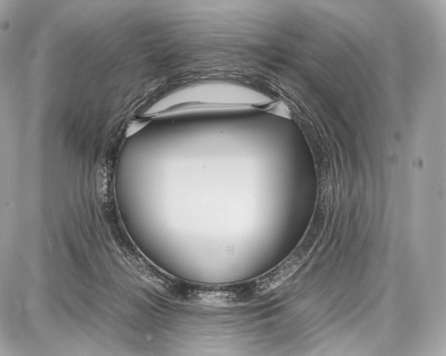 X0000086960268200705141633