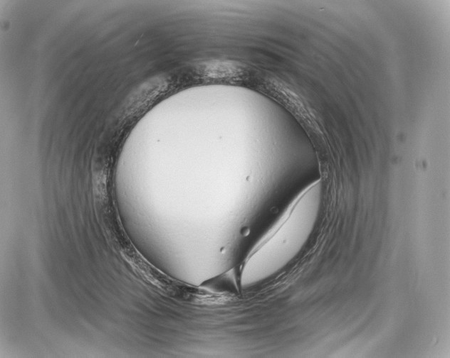 X0000086960269200705141633