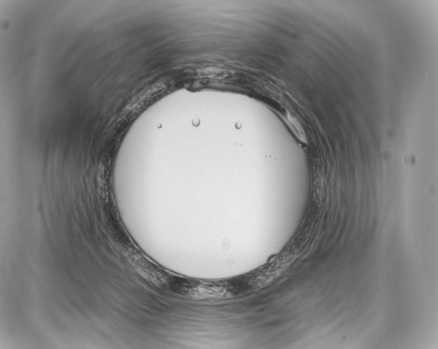 X0000086960270200705141633