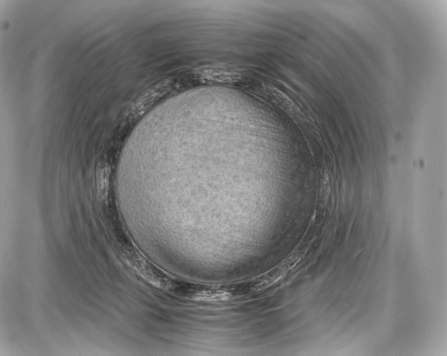 X0000086960271200705141633