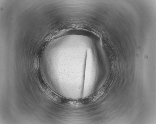 X0000086960272200705141633