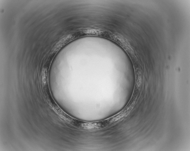 X0000086960273200705141633